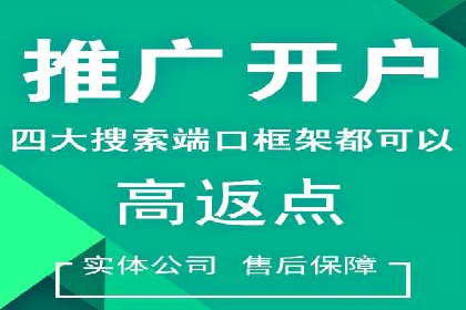信息流广告投放成功案例分析